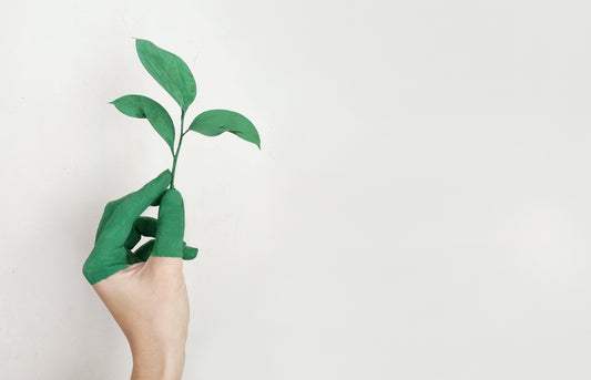 Sustainable Fashion: Comfortable Culture's Journey and On-Demand Manufacturing.