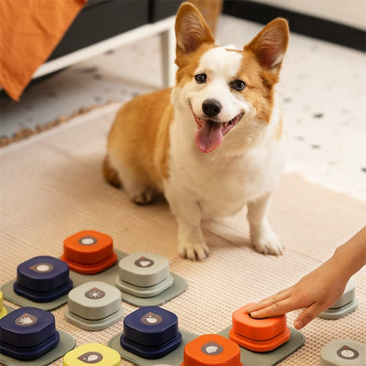 Recordable, Easy-to-Use Talking Toy for Dogs and Cats, Interactive Pet Communication Buttons in 4 Colors