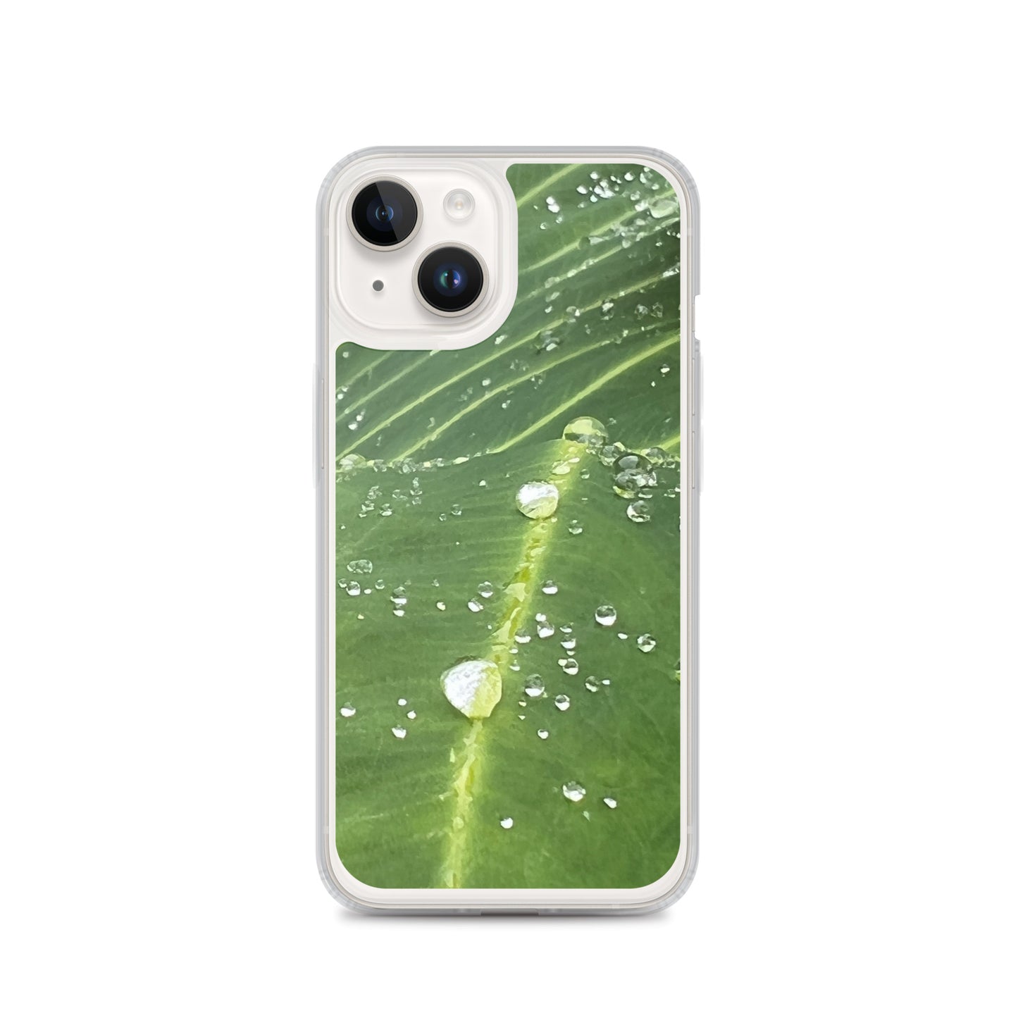Leaf Raindrop Close-up (iPhone Case)