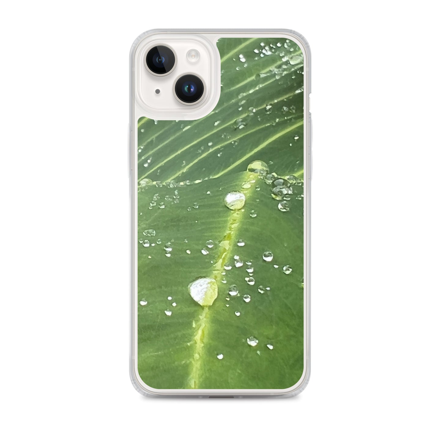 Leaf Raindrop Close-up (iPhone Case)