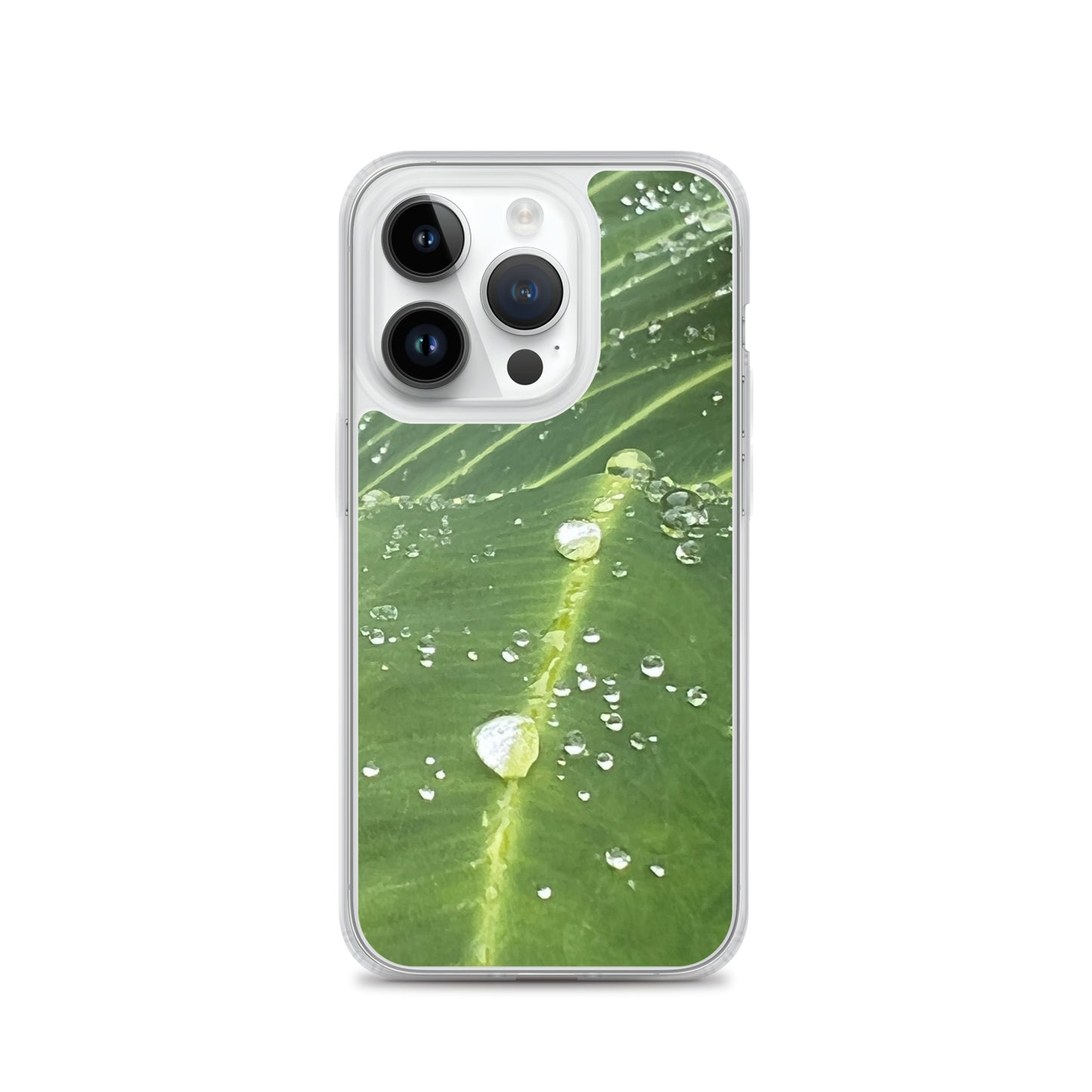 Leaf Raindrop Close-up (iPhone Case)