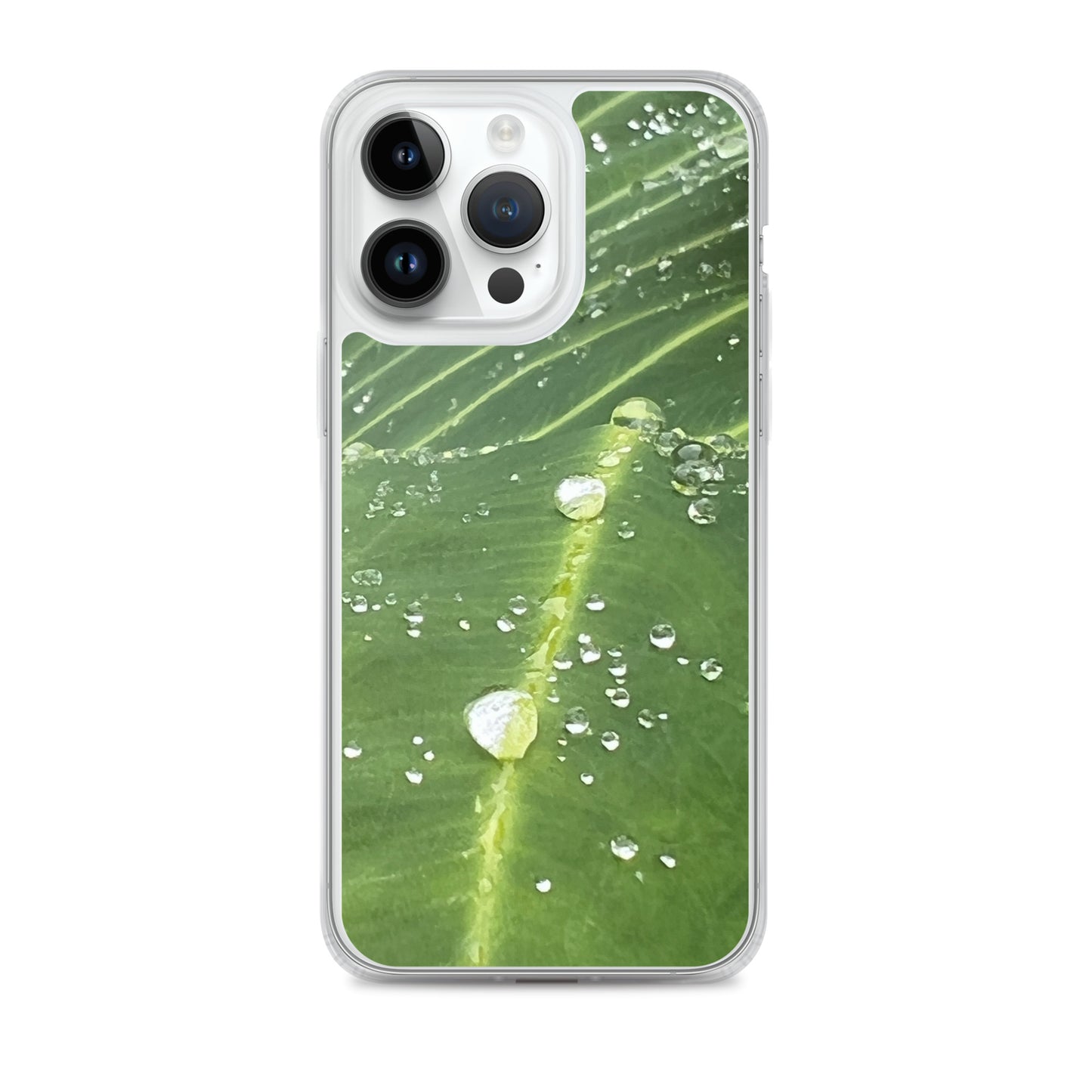 Leaf Raindrop Close-up (iPhone Case)