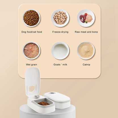 Smart Automatic Pet Feeder: Stainless Steel Bowl Food Dispenser with Timer for Cats & Dogs - Eco-Friendly Pet Feeding Solution