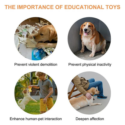 Recordable, Easy-to-Use Talking Toy for Dogs and Cats, Interactive Pet Communication Buttons in 4 Colors