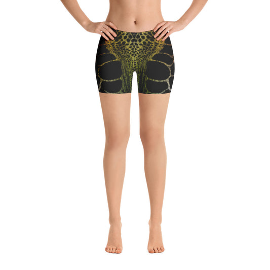 Wild Rainbow Outline (Women's Yoga, Gym, Fitness Shorts) - Comfortable Culture - XS - Shorts - Comfortable Culture
